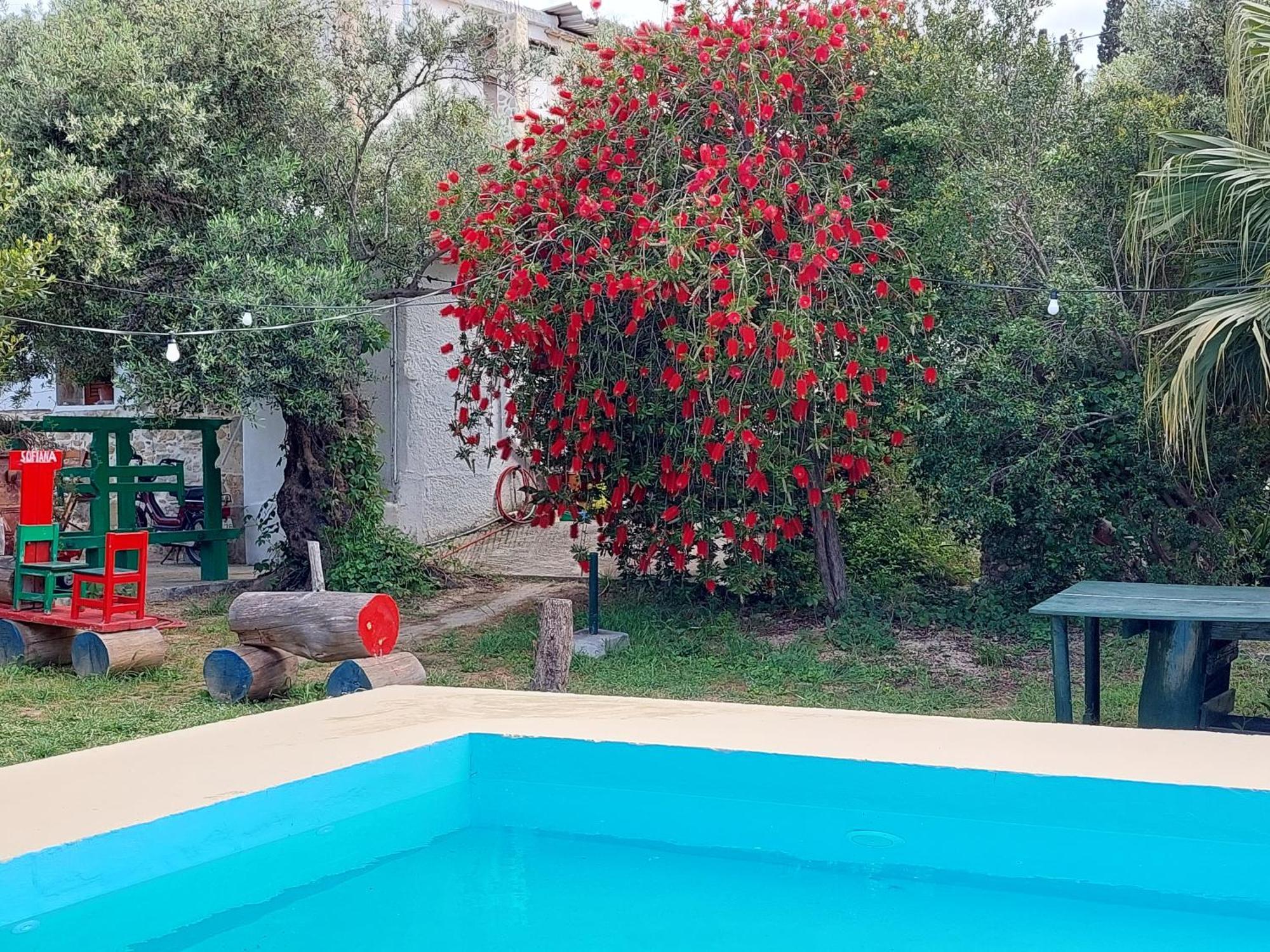 Sofiana'S Garden Retreat With Private Pool Apartamento Dhrapaniás Quarto foto